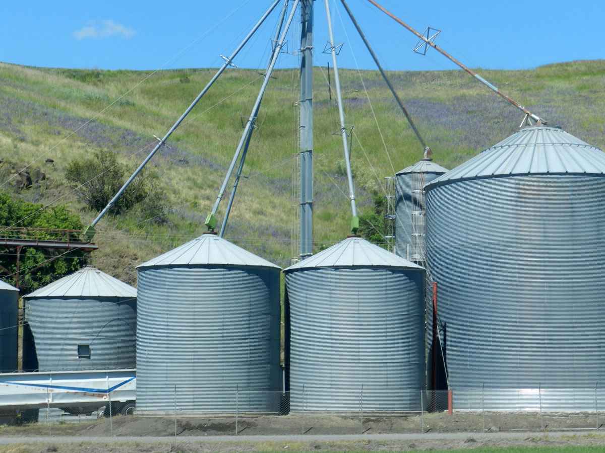 Silos by Susan Fluegel